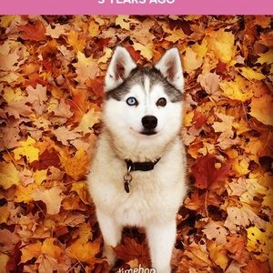 Meet your Posher, Jeff